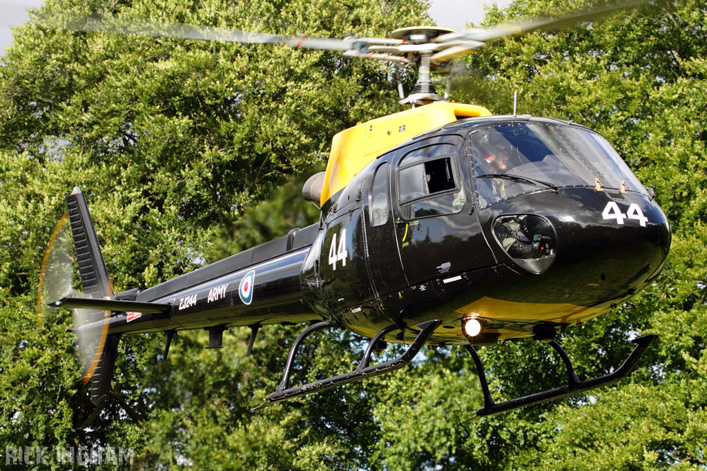 Eurocopter Squirrel HT2 - ZJ244 - AAC