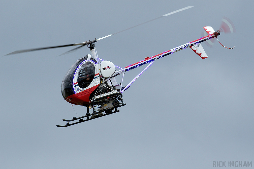 Schweizer 269C - N7505B