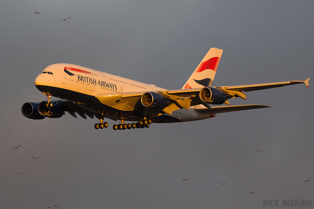 Airbus A380-841 - G-XLEG - British Airways