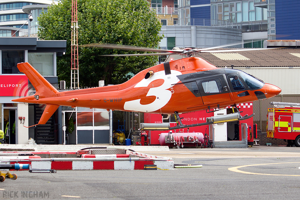 Agusta A119 Koala - G-WHIP - Thunder Aviation