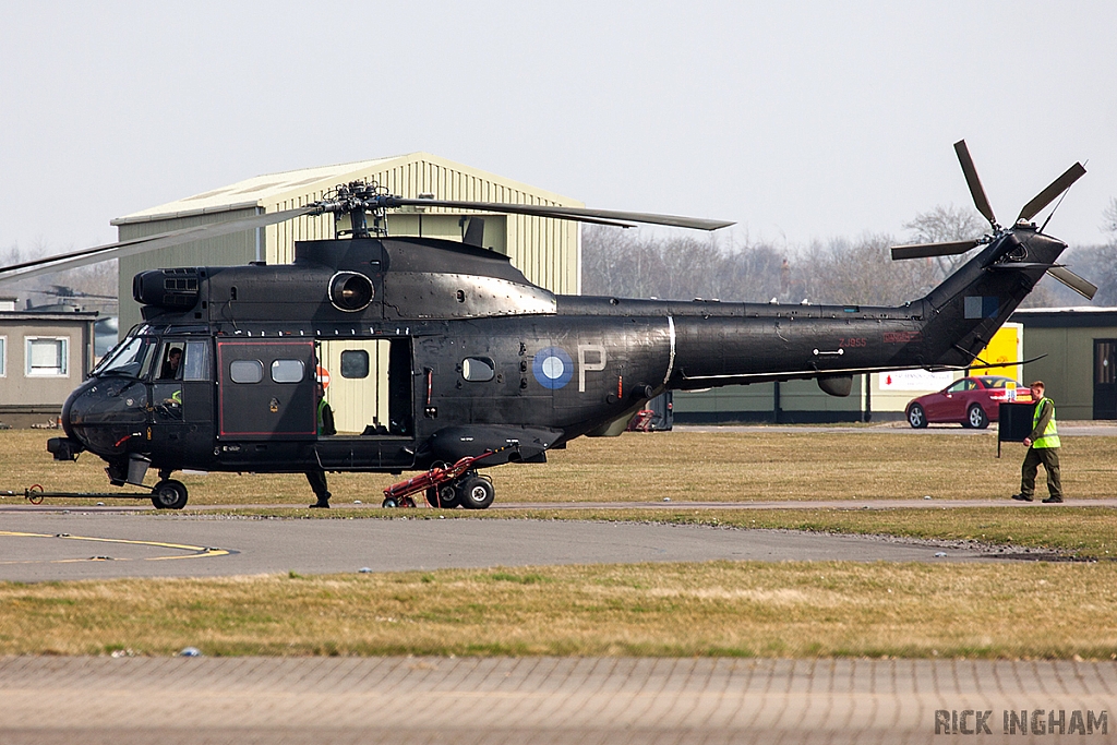 Eurocopter Puma HC2 - ZJ955 - RAF