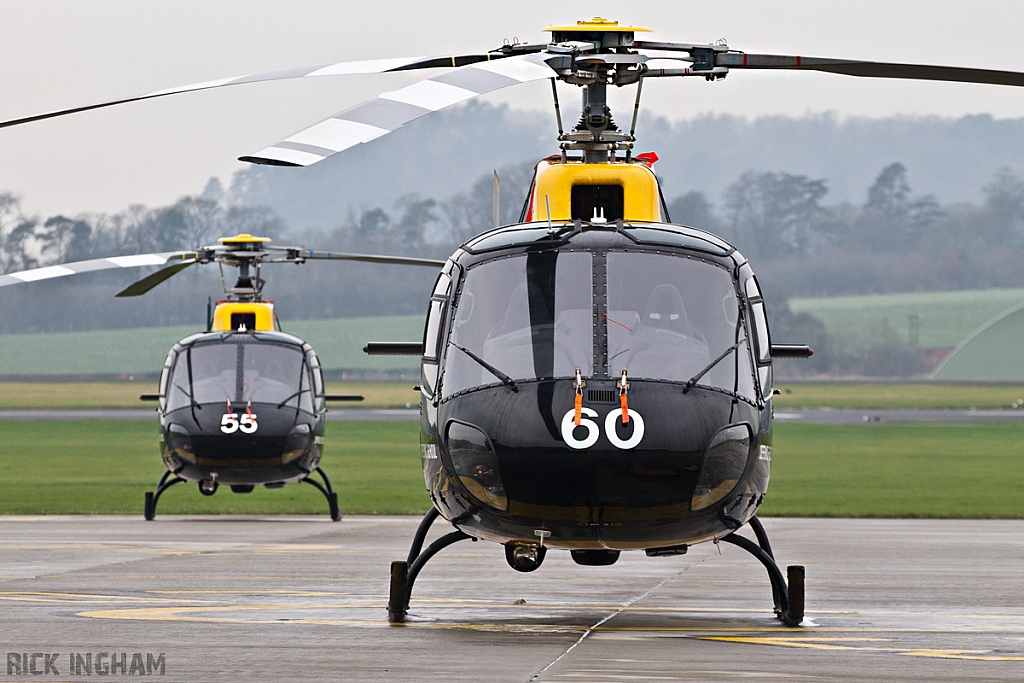 Eurocopter Squirrel HT1 - ZJ260 + ZJ255 - DHFS/RAF