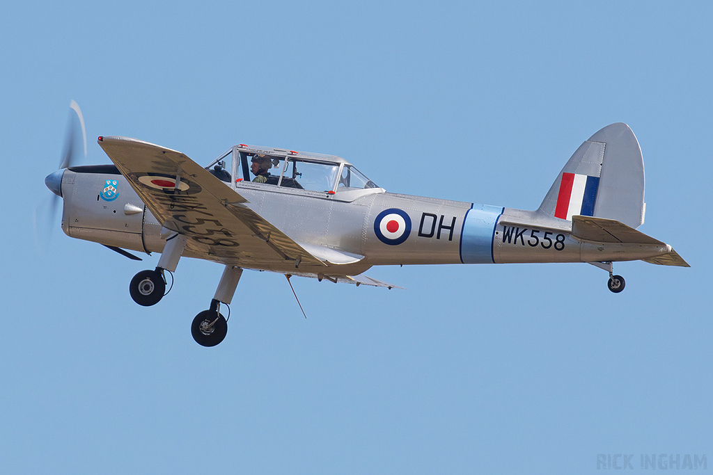 De Havilland Chipmunk T10 -  WK558 / G-ARMG - RAF