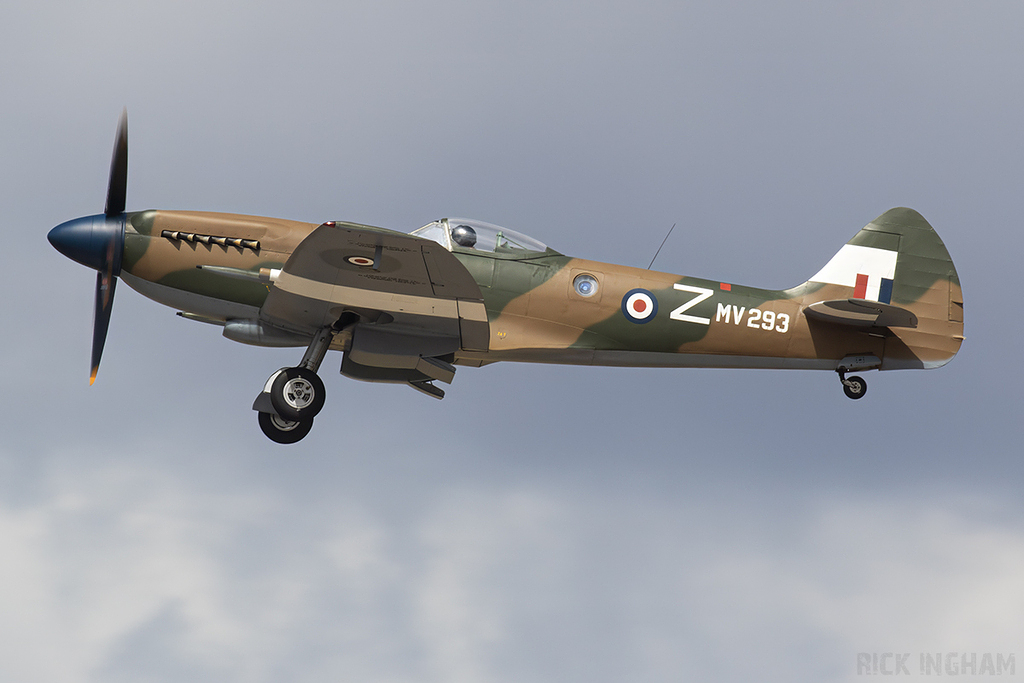 Supermarine Spitfire FR.XIV - MV293 / G-SPIT - RAF