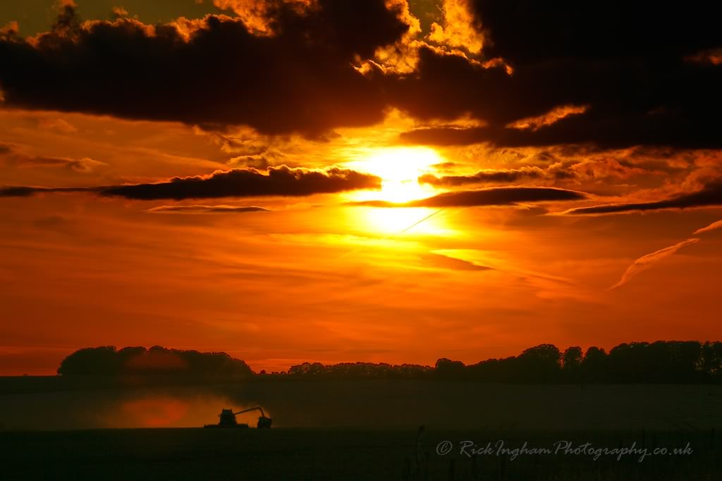 Salisbury Plain Sunset