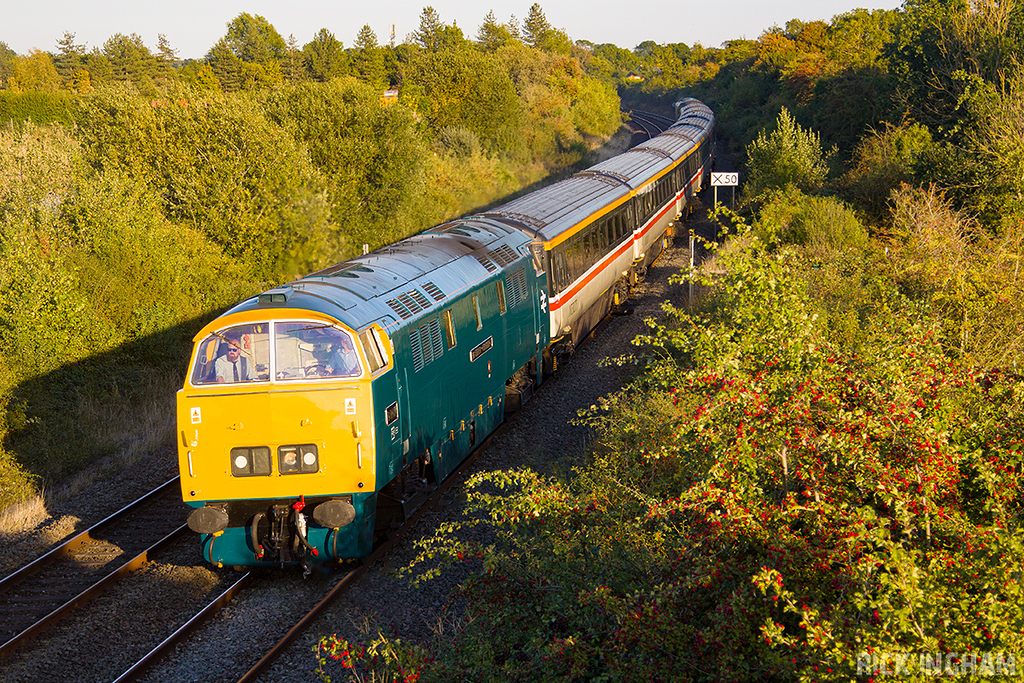 Class 52 Western - D1015