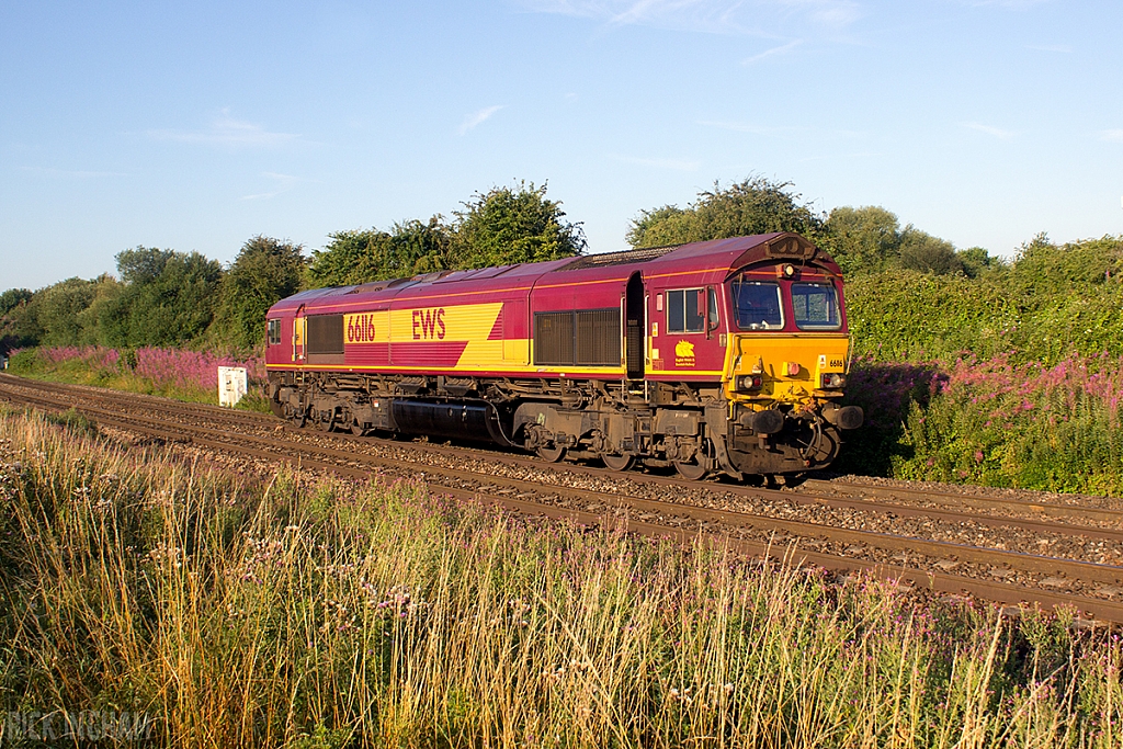 Class 66 - 66116 - EWS