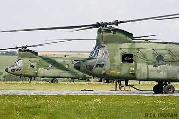 Boeing CH-47D Chinook - D-663 + D-103 - RNLAF