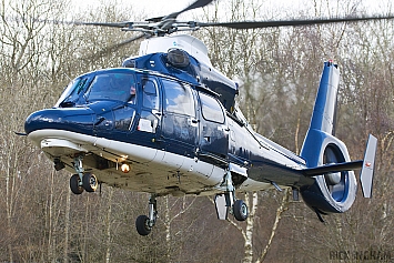 Eurocopter AS365N Dauphin II - ZJ782 - AAC