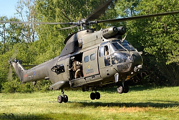 Eurocopter Puma HC2 - XW209 - RAF