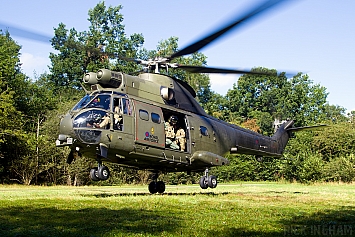 Eurocopter Puma HC2 - XW213 - RAF