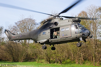 Eurocopter Puma HC2 - XW229 - RAF