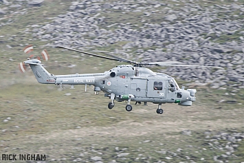Westland Lynx HMA8 - ZD260/315 - Royal Navy