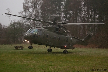 Westland Merlin HC3 - ZJ135/T - RAF