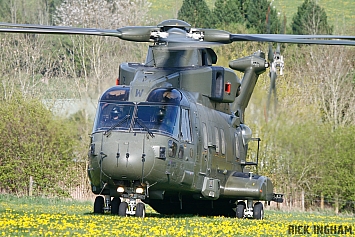 Westland Merlin HC3 - ZJ137/W - RAF