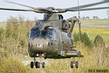 Westland Merlin HC3 - ZJ137/W - RAF