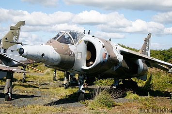 Hawker Siddeley Harrier GR3 - XV783/83 - RAF