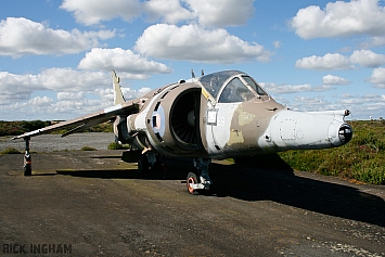 Hawker Siddeley Harrier GR3 - XZ969/69 - RAF