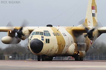 Lockheed C-130H Hercules - SU-BAS/1286 - Egyptian Air Force