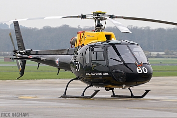 Eurocopter Squirrel HT1 - ZJ260 - DHFS/RAF