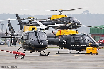 Eurocopter Squirrel HT1 - ZJ273 + ZJ271 + ZJ265 - DHFS/RAF
