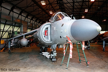 British Aerospace Sea Harrier FA2 - ZE690/90 - Royal Navy