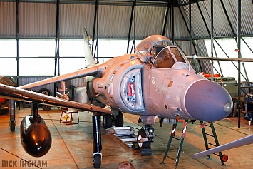 British Aerospace Sea Harrier FA2 - ZD579/79 - Royal Navy