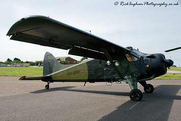 De Havilland Beaver AL1 - XP820 (G-CICP) - AAC