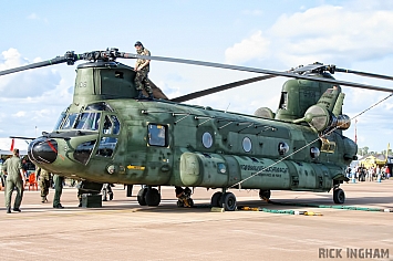 Boeing CH47D Chinook - D-106 - RNLAF