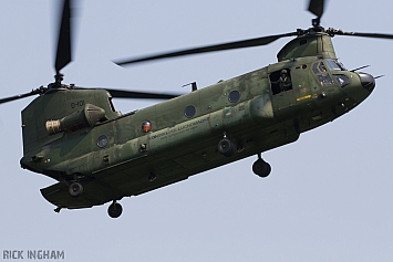 Boeing CH-47D Chinook - D-101 - RNLAF