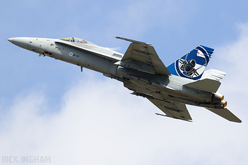 McDonnell Douglas F-18C Hornet - HN-411 - Finnish Air Force